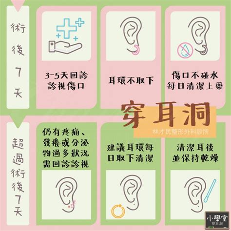 為什麼不能穿耳洞|【小學堂】打(穿)耳洞怎麼選？